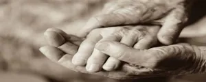 عکس روز